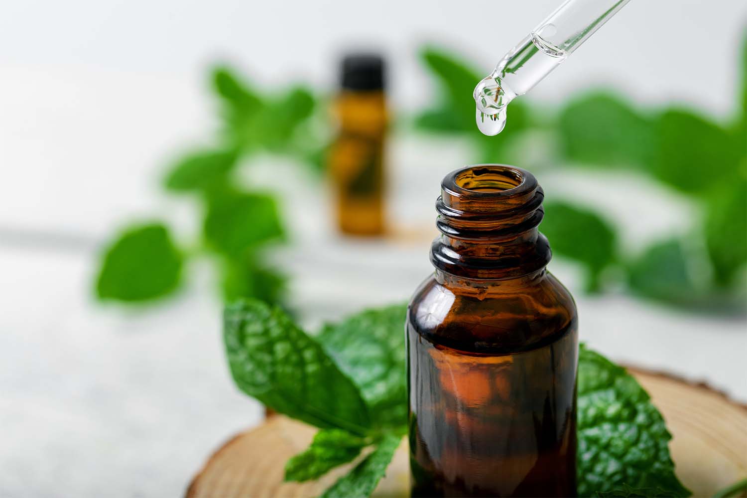 Is Peppermint Essential Oil Safe for Dogs?