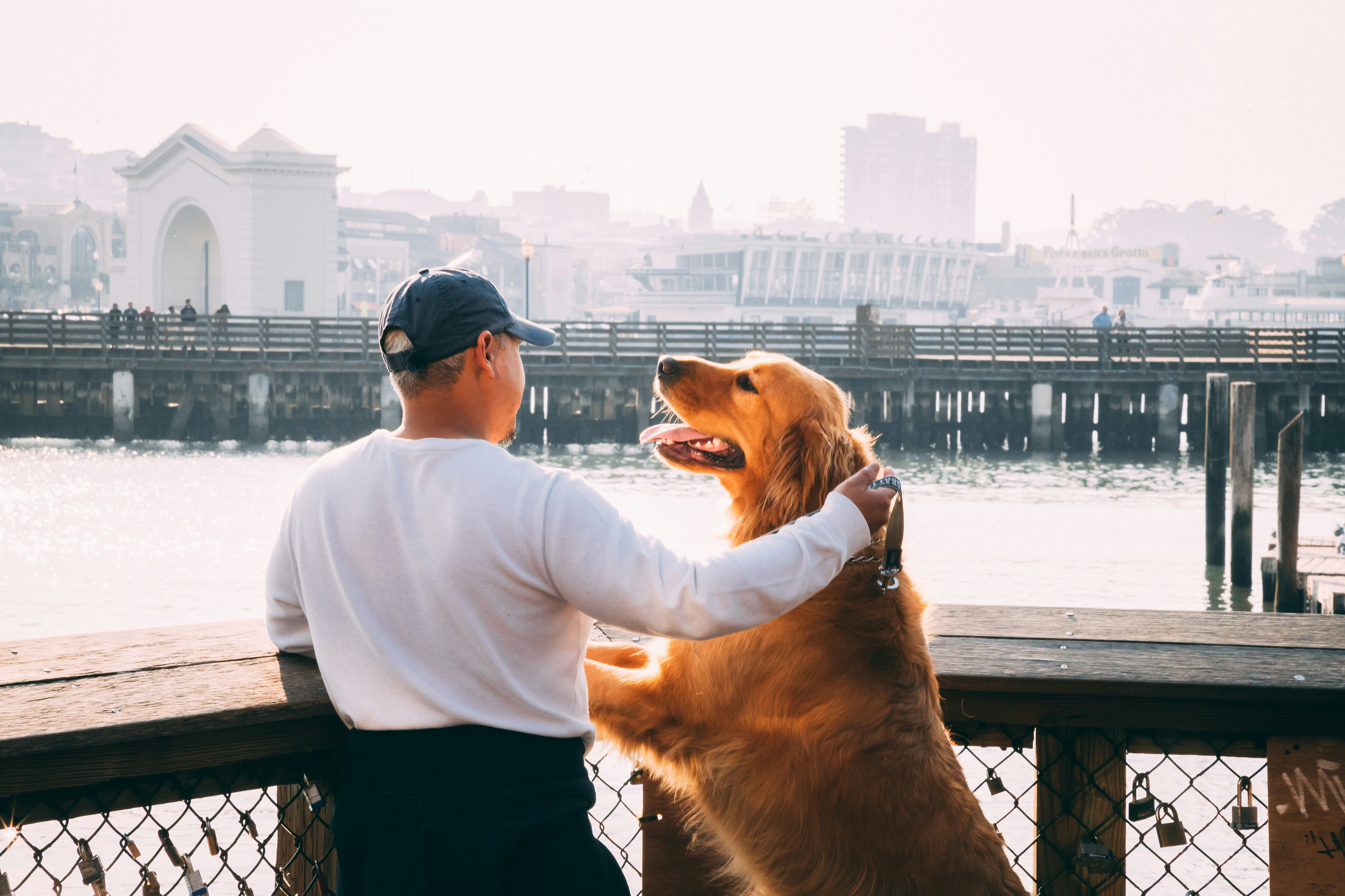 Person and golden retriever on a pier 