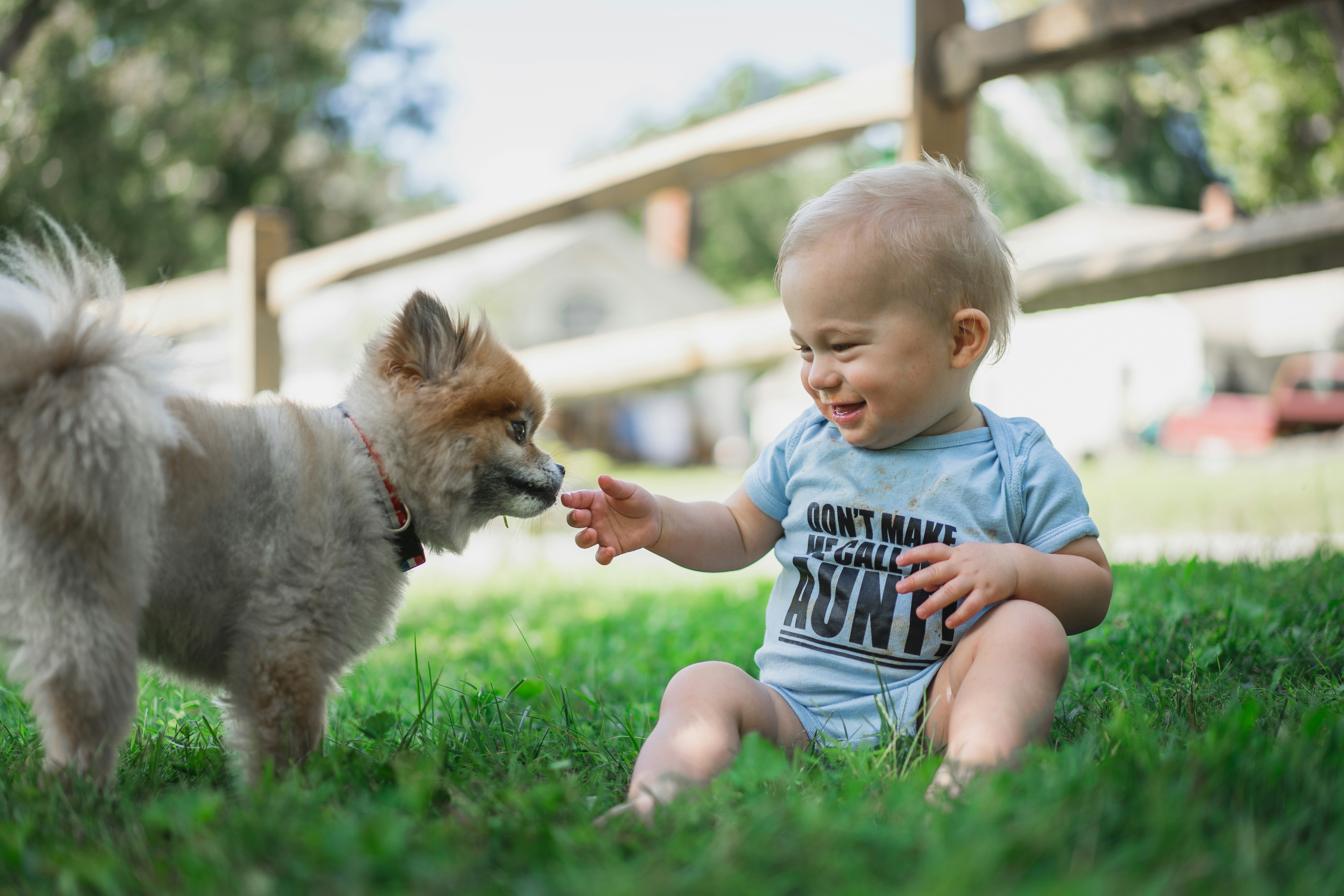 small dog and baby together outside on grass